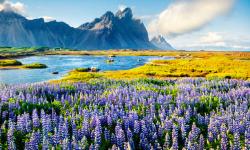 Featured image of post categoria
